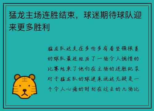 猛龙主场连胜结束，球迷期待球队迎来更多胜利